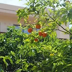 Flacalco & Hotel 4*