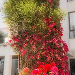 Hotel Flacalco & Cala Ratjada (Mallorca)
