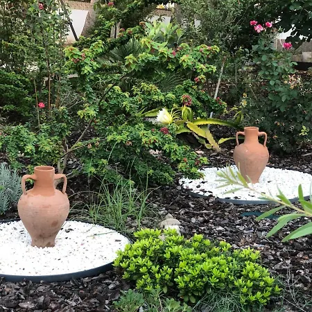 Flacalco & 칼라 라트자다