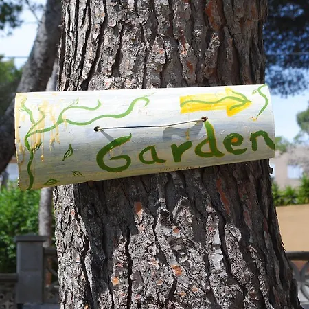 Flacalco & Cala Ratjada (Mallorca)