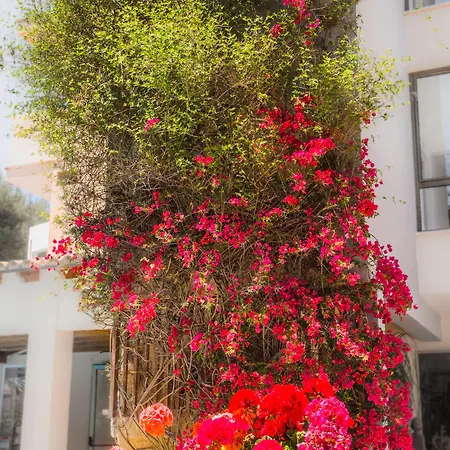 Hotel Flacalco & Cala Ratjada (Mallorca)