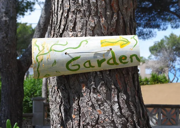 Flacalco & Cala Ratjada