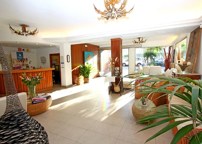 Flacalco & Cala Ratjada