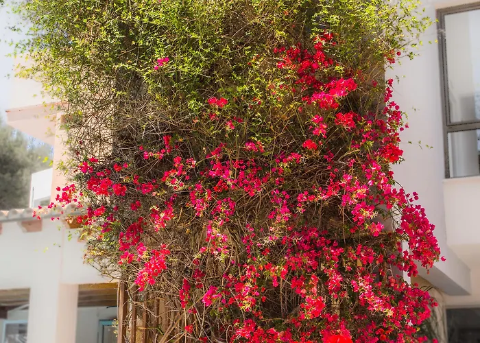 Hotel Flacalco & Cala Ratjada (Mallorca)